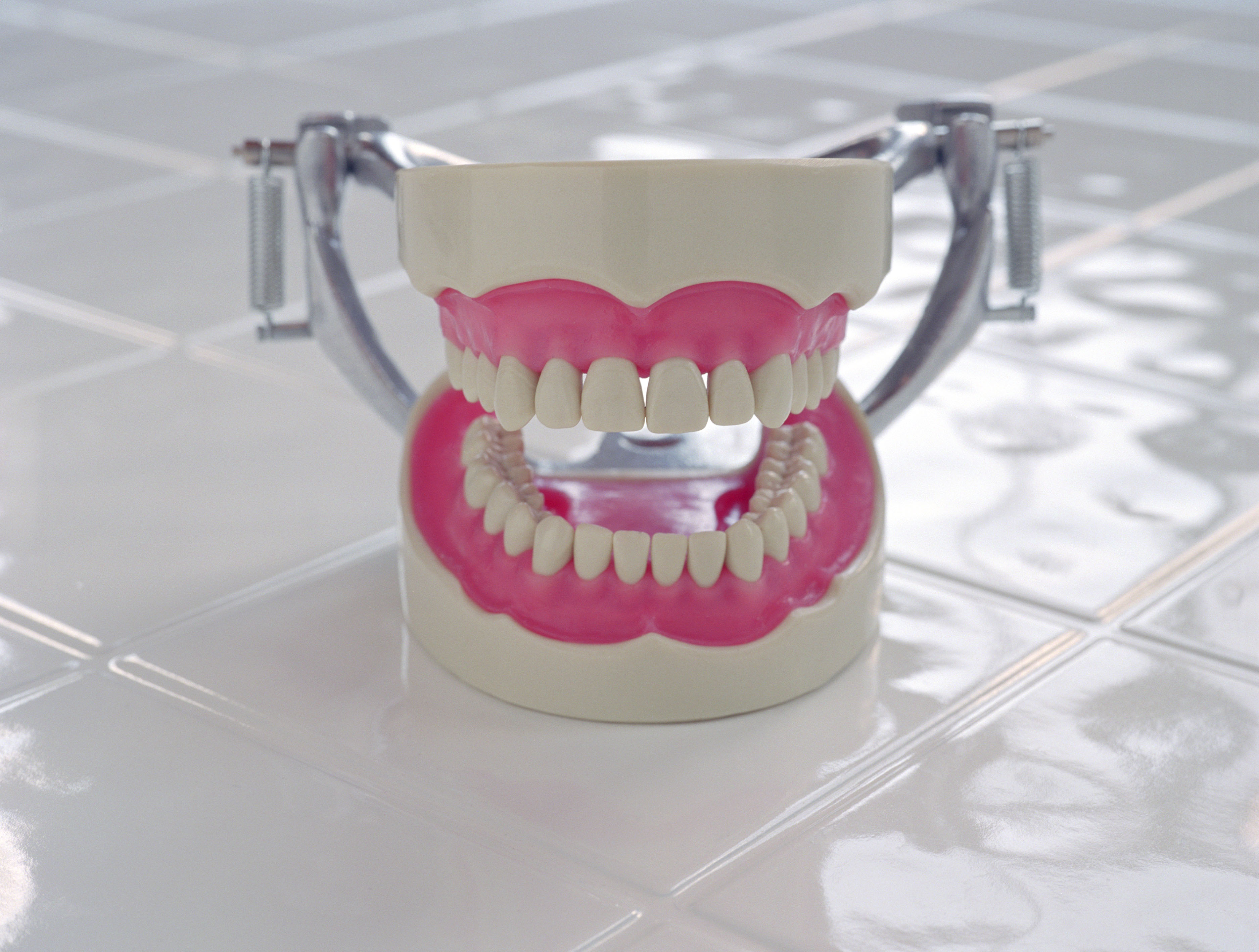 Dental Specialty Training