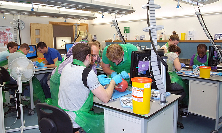 Core Surgical Training Programme (CST)