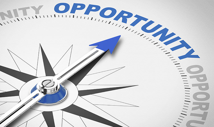 Opportunities for Fellowship Posts