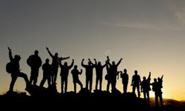 Current SCLF's - cohort 14