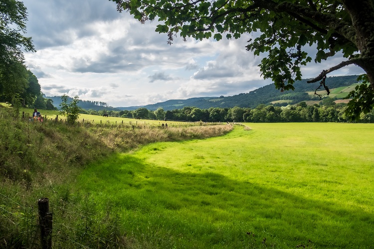 Rural and Remote Placement Opportunities